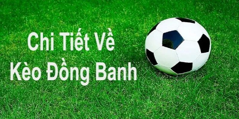 Kinh nghiệm bắt kèo đồng banh cực chuẩn ăn thưởng lớn