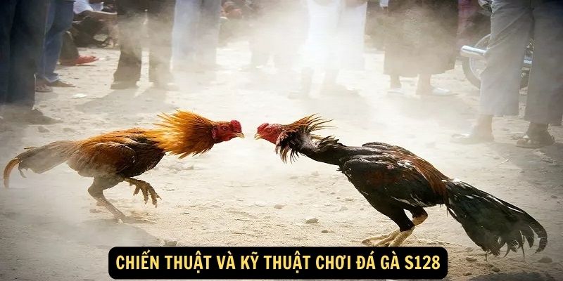 Chien thuat va ky thuat choi Da ga S128