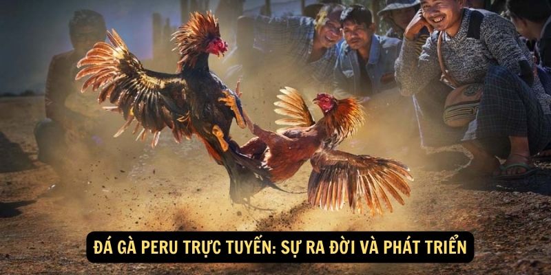 Đá gà Peru trực tuyến: Sự ra đời và phát triển