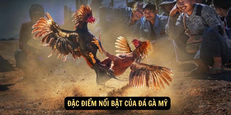 Đặc điểm nổi bật của Đá gà Mỹ